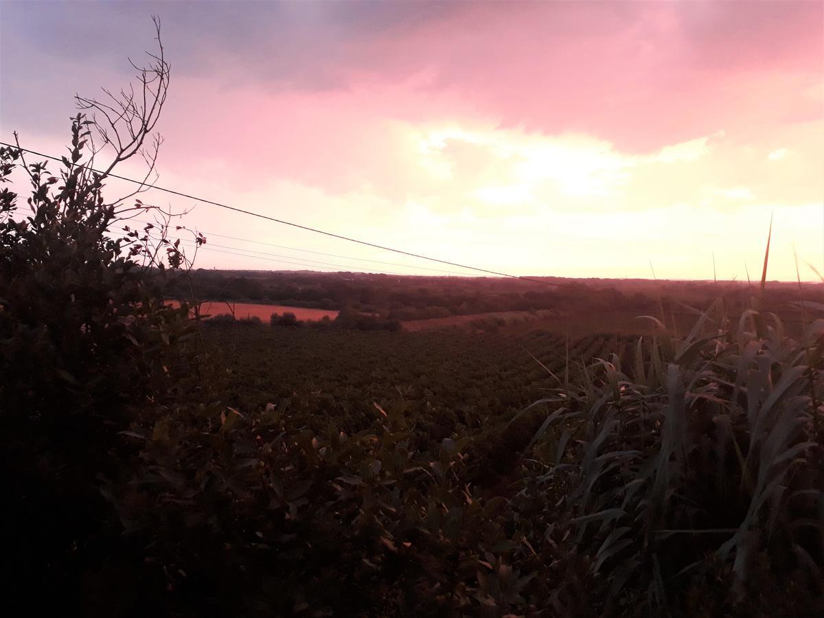 Domaine De Beaumont Βίλα Agde Εξωτερικό φωτογραφία